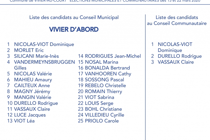 www.ludivinecanon.fr Graphiste passionnée et créative - ludivine canon - vivier d'abord - dominique nicolas-viot - bulletin de vote